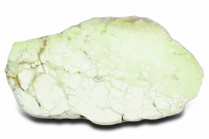 Polished Lemon Chrysoprase Section - Western Australia #353720